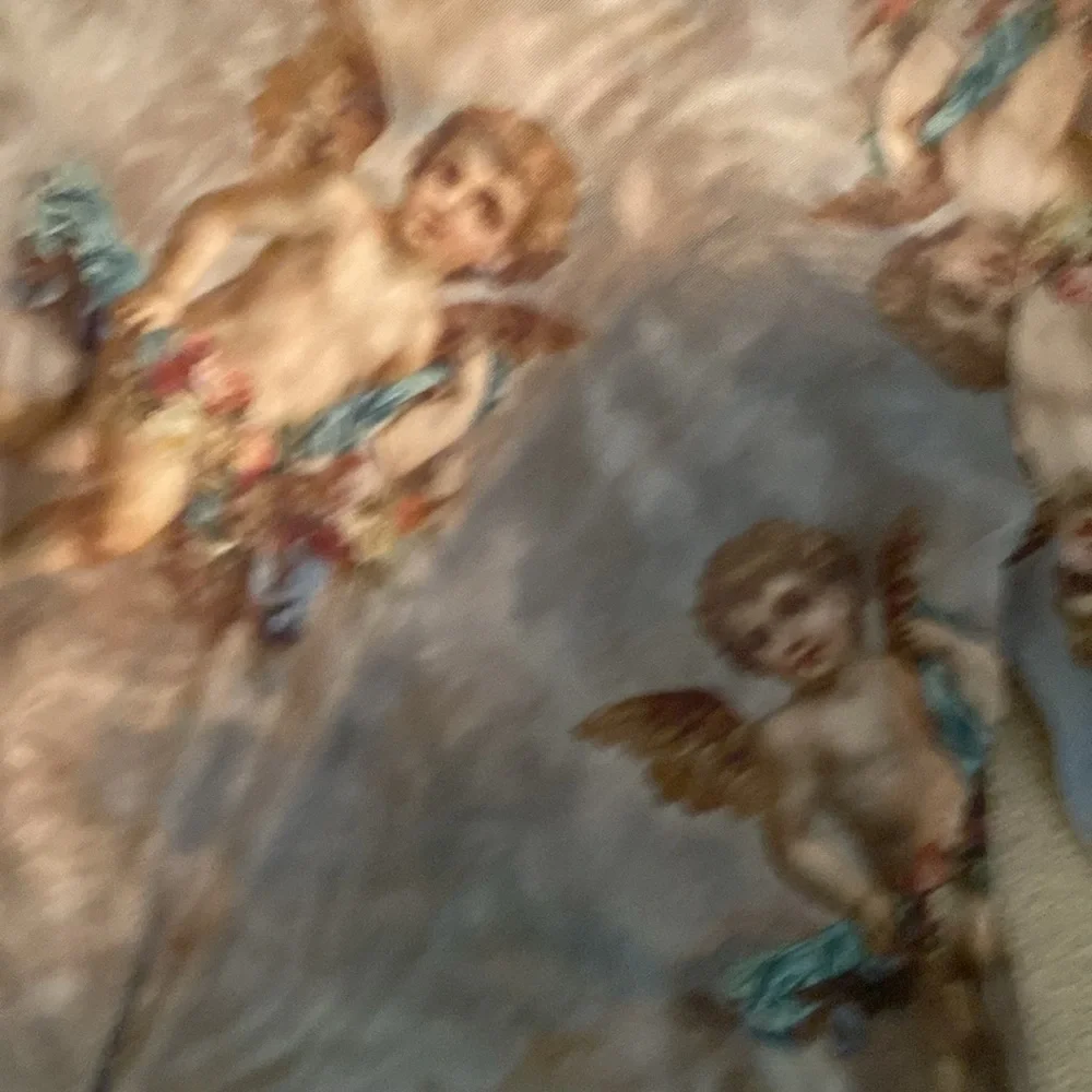 Urban Outfitter sheer angel top - Picture 4 of 5